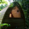 870 Clear Cedar POD Sauna - Image 2
